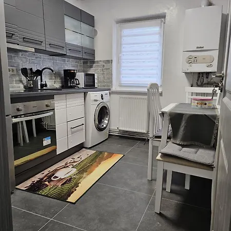 Apartment Garsoniera Delia